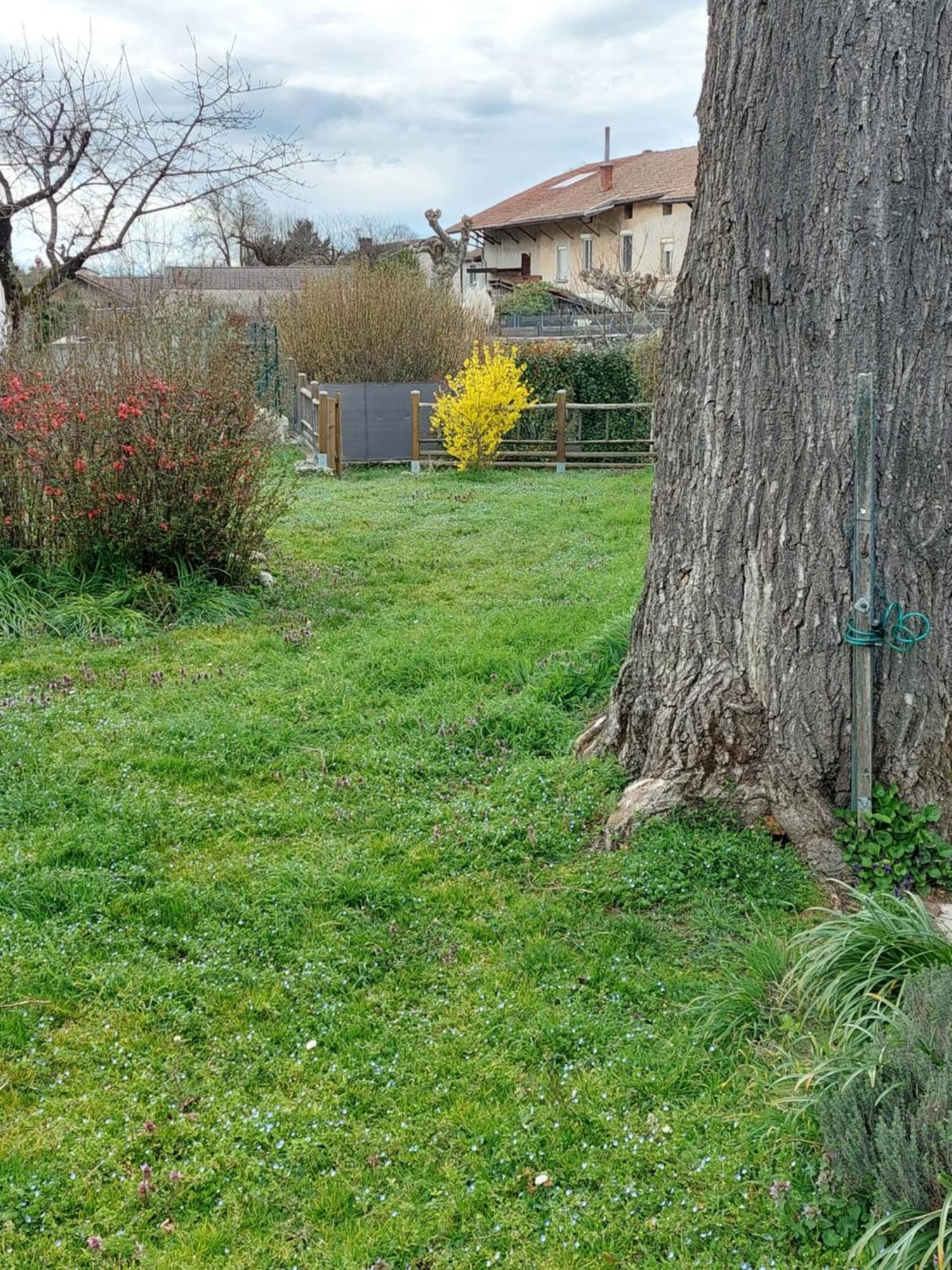 Les Copains D'Abord Villa Beaucroissant Eksteriør billede