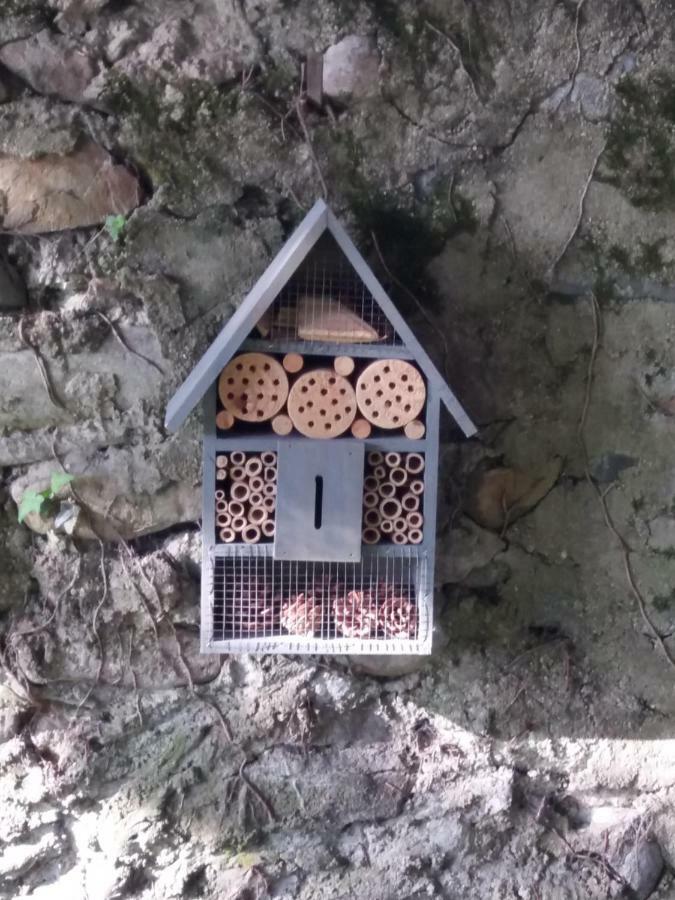 Les Copains D'Abord Villa Beaucroissant Eksteriør billede